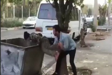  فانوسِ ظُلمتِ “زلمه”ها باشیم!