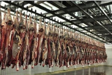 تعطیلی کشتارگاه صنعتی ایلام: نکروپلیتیک جایگزین بیوپلیتیک؟