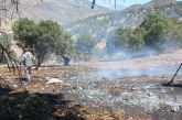 مهار آتش‌سوزی در ارتفاعات کبیرکوه دره‌شهر در حال انجام است