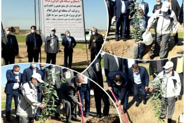 با کاشت نهال به‌طول ۵۷۰ کیلومتر نهضت سبز در دهلران عملیاتی می‌شود