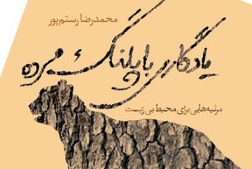 اندیشه و کشف شاعرانه در مرثیه‌هایی برای محیط بی‌زیست