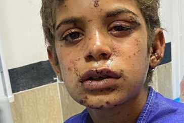 مهرِ مهران از دل مینا خارج نشد!