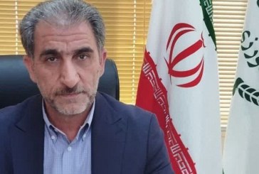 گندم ايلام از گندم‌های با کیفیت کشور است
