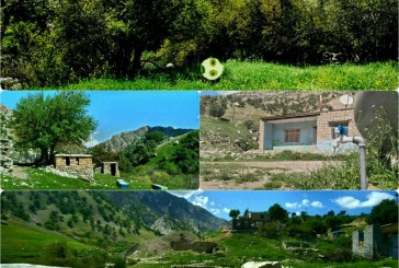 گنجینه‌ی ماندگار گنجه…