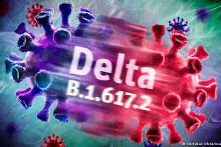 delt