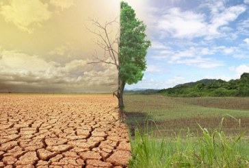 گام‌های بلند ایلام برای بیابان‌زدایی و مهار ریزگردها