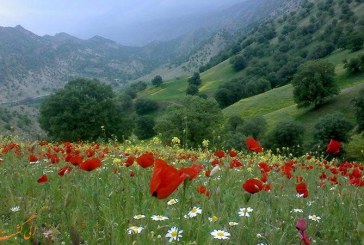 این بهار در خانه بمانیم که کم نشویم