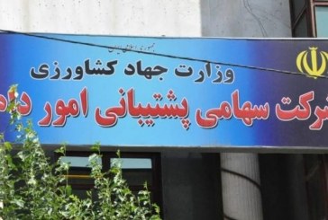 مدیر عامل شرکت پشتیبانی امور دام بازداشت شد