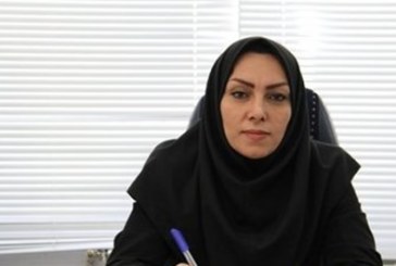 ۳۶۸ طرح اشتغال و مسکن مددجویان بهزیستی ایلام دهه‌فجر افتتاح می‌شود