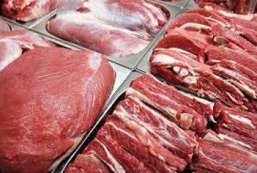 استخوان لای زخم بازار گوشت/ درمان چیست؟