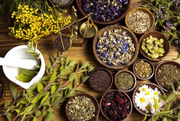 گیاهان دارویی، فرصتی برای تولید ثروت در سرزمین هزاران گنج